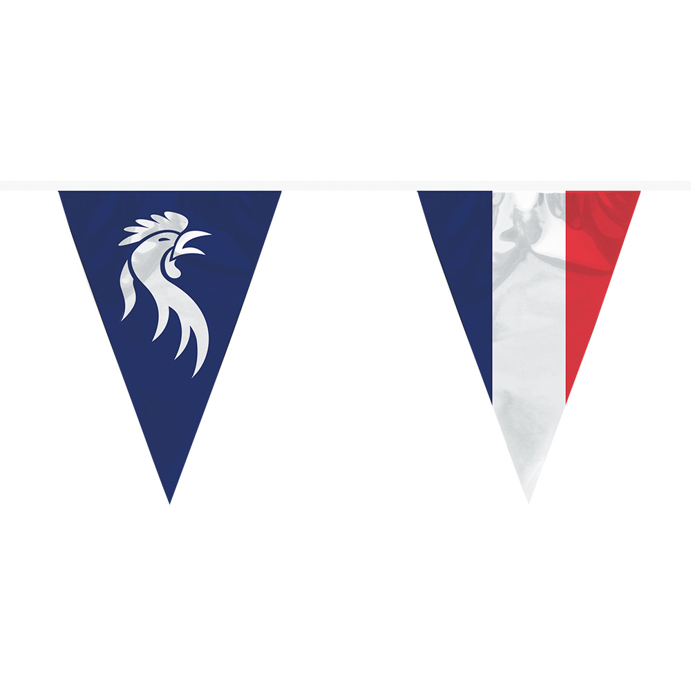 PE vlaggenlijn Allez les Bleus (30 x 20 cm, 6 m)