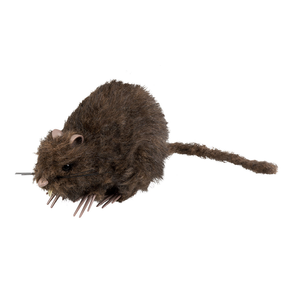 Decoratie Rat (15 x 8 cm)