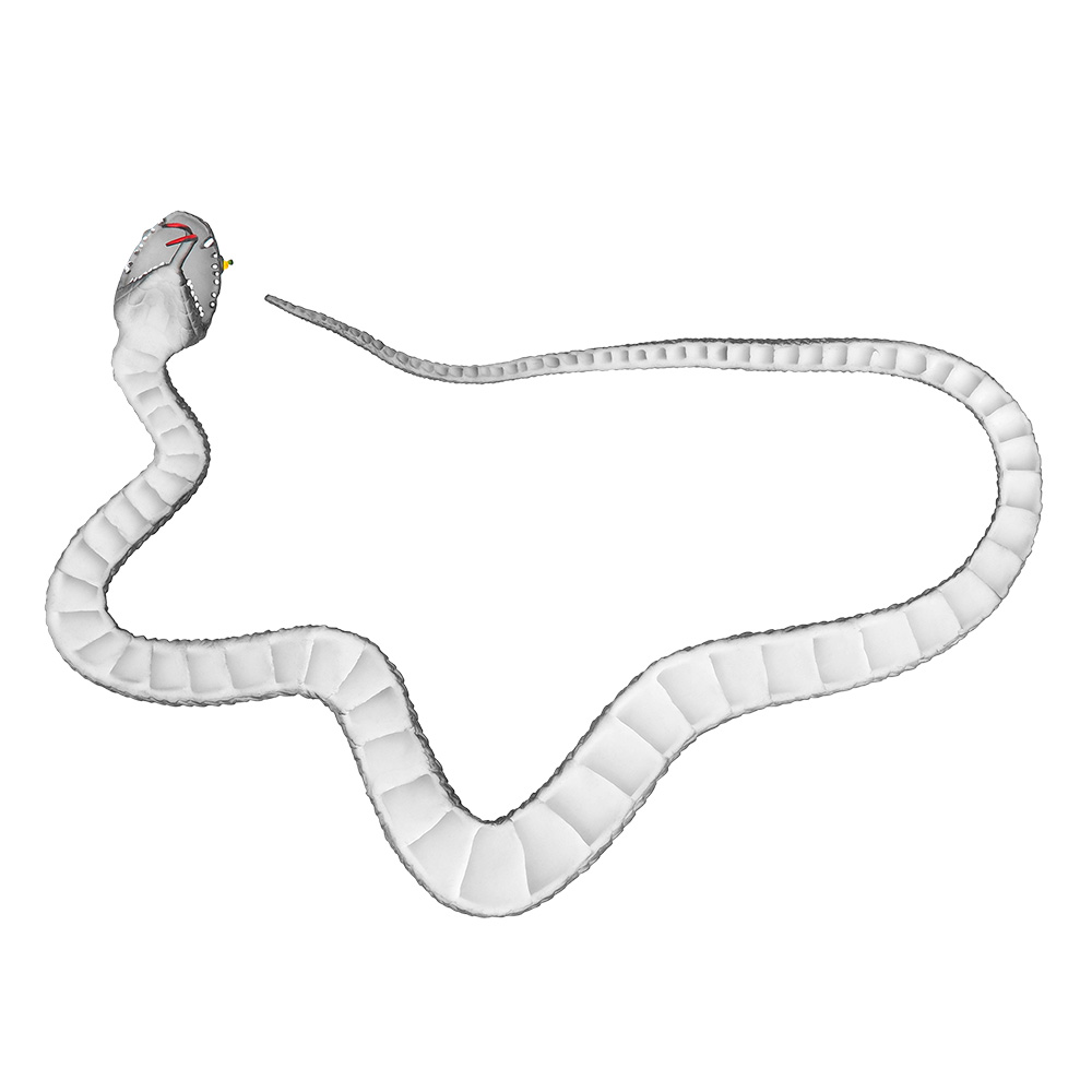 St. Rubberen slang zwart (75 x 3 cm)