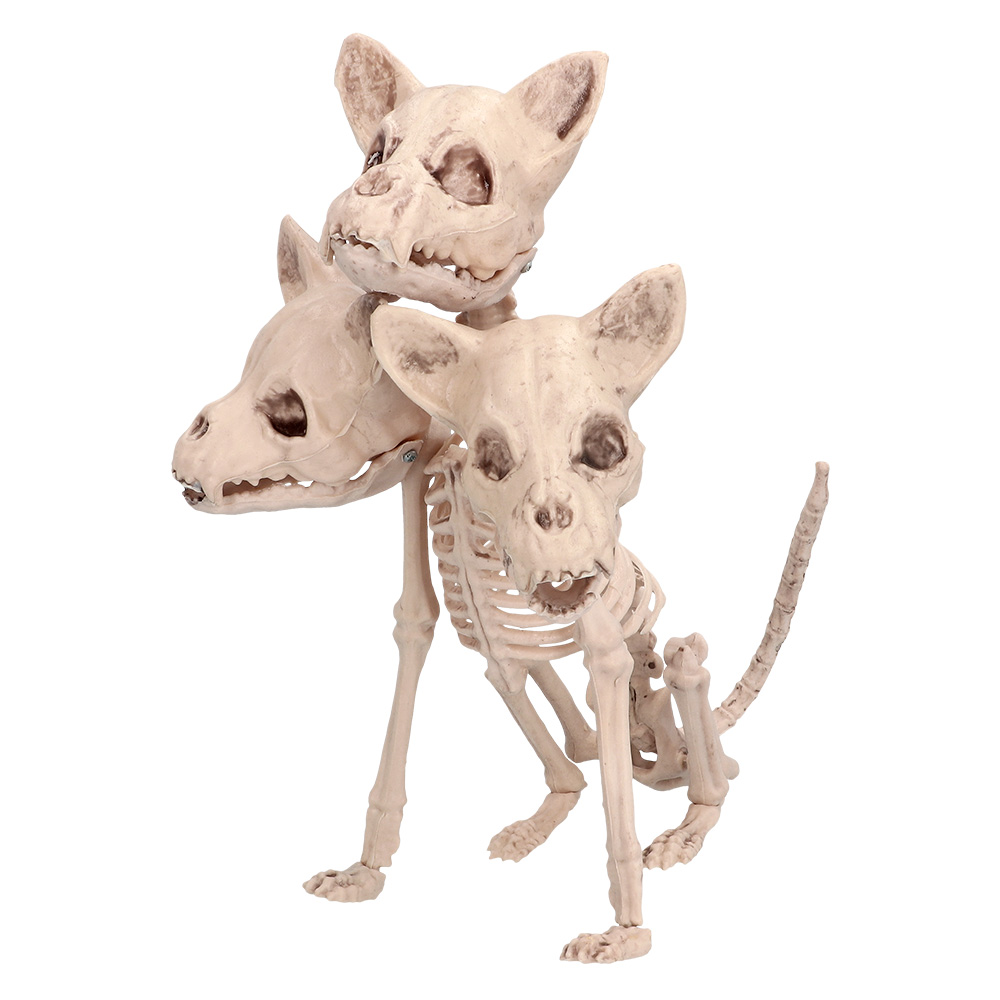 Skelet Cerberus (42 x 20 x 31 cm)