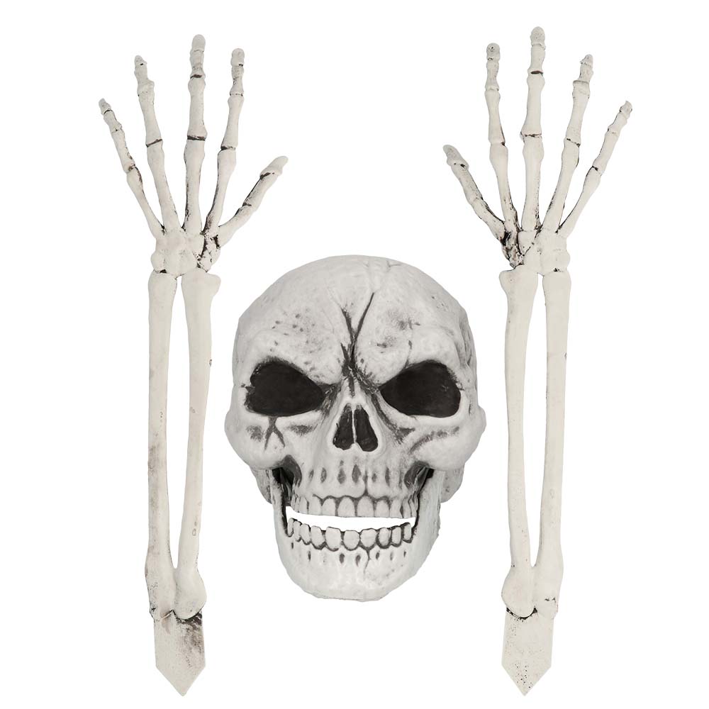 Set Begraven skelet (schedel en armen)