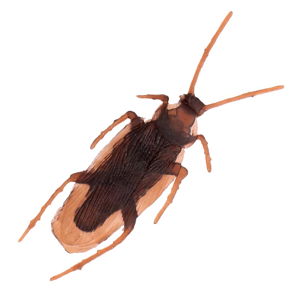 Set 6 Kakkerlakken (2.5 x 7.5 cm)