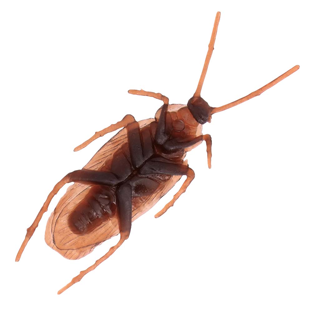 Set 6 Kakkerlakken (2.5 x 7.5 cm)