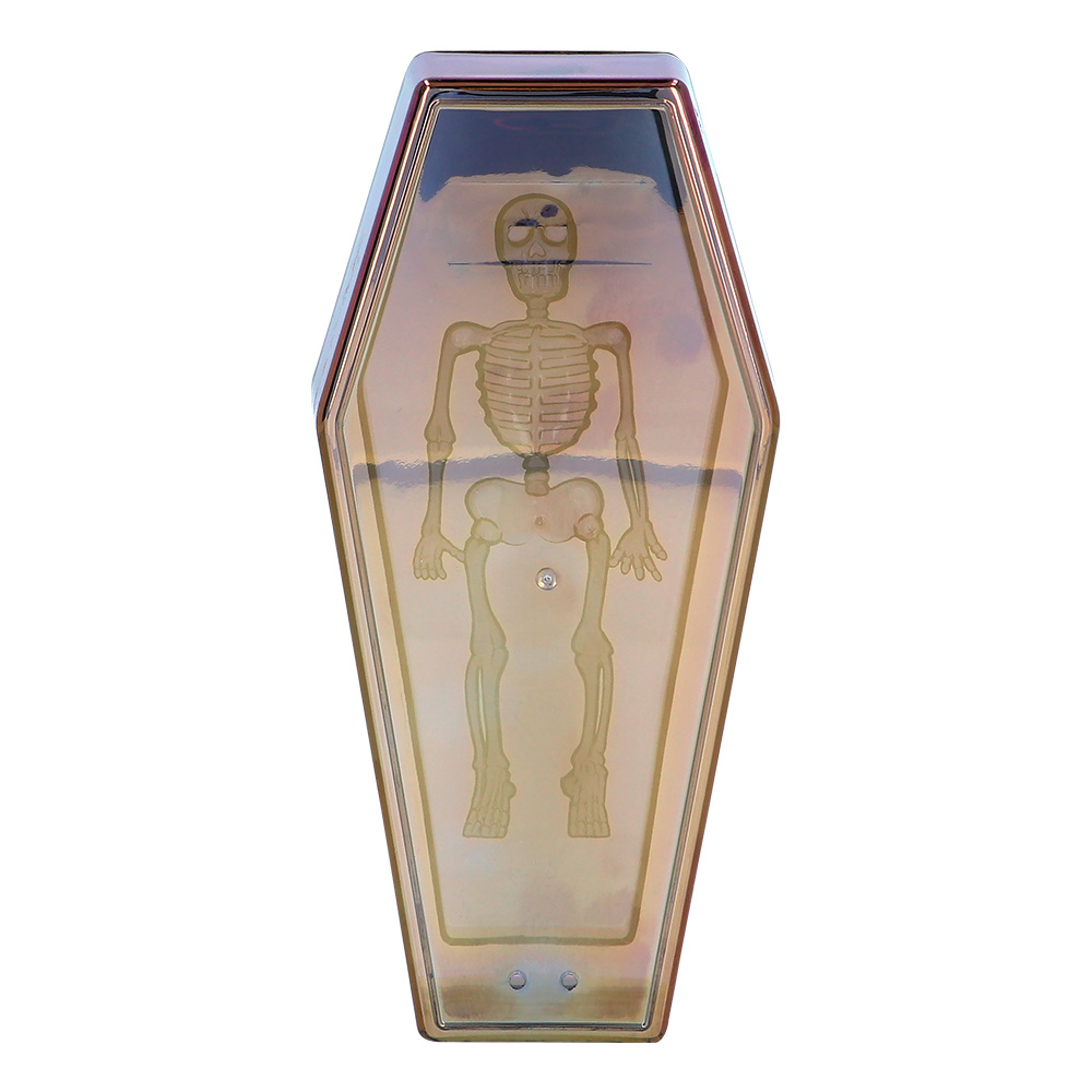 Doodskist iriserend (19 x 9 x 4,6 cm)