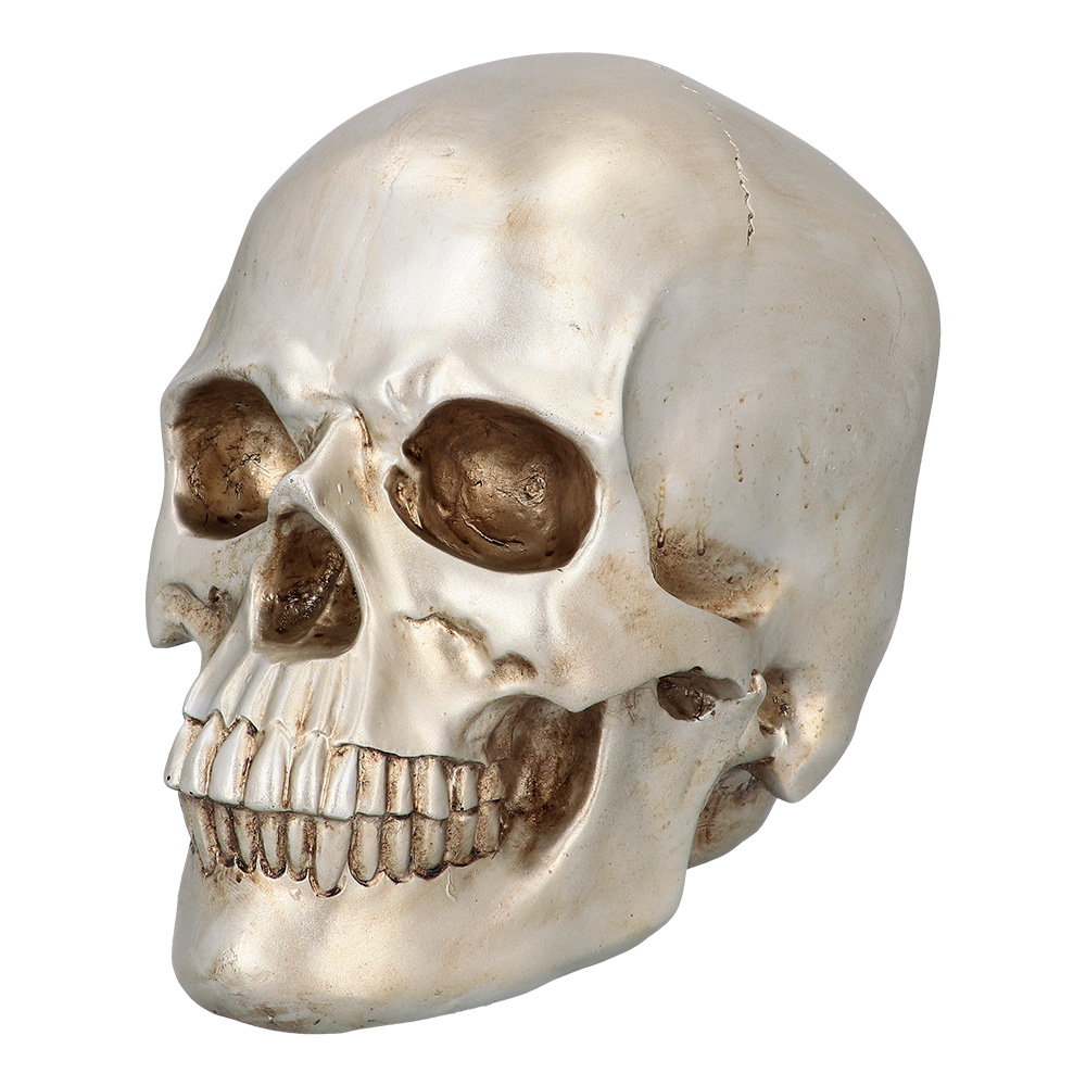 Schedel Shine (26 x 18 x 23 cm)