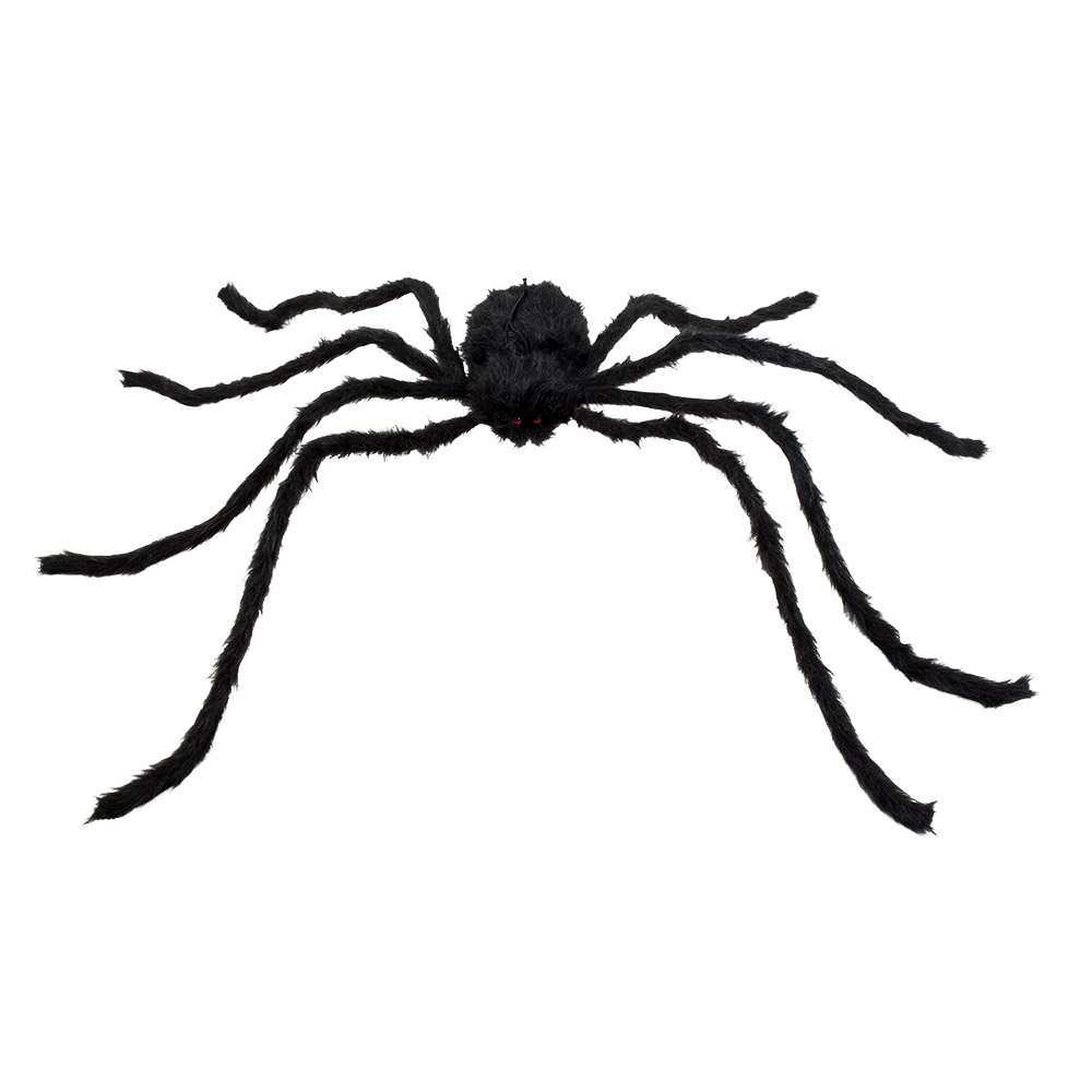 Harige spin Graveweaver (75 x 125 cm)