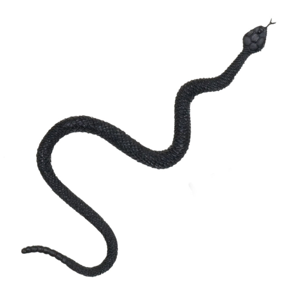 Set 6 griezelige beesten