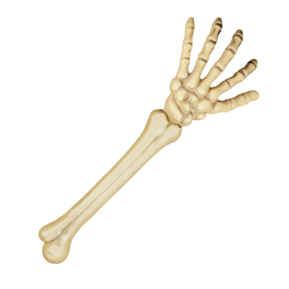 Skeletarm (46 cm)