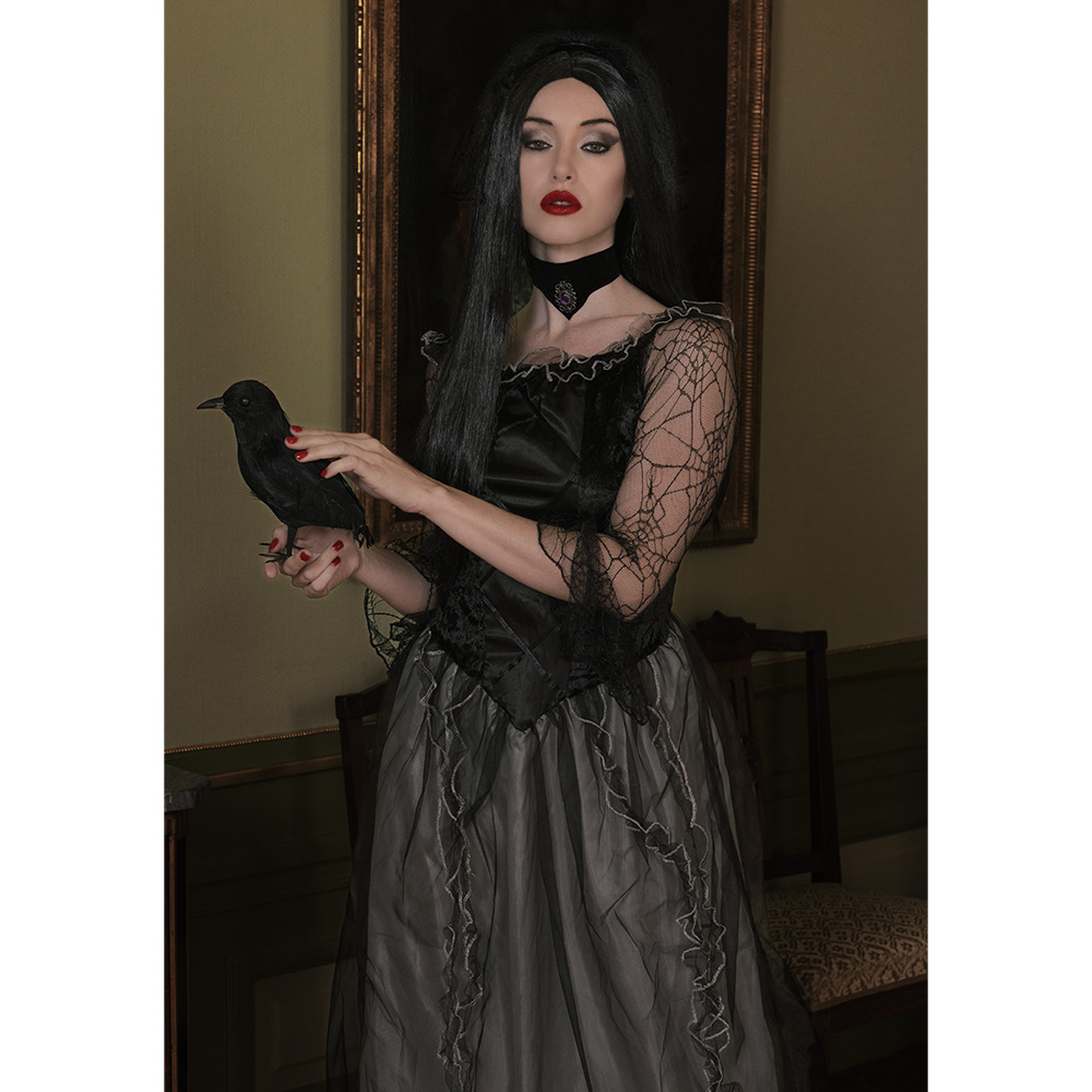 Volwassenenkostuum Arachne (40/42)