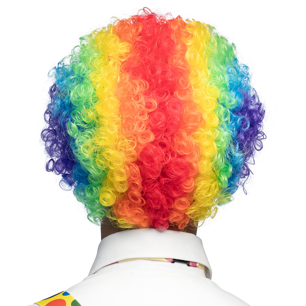 St. Pruik Clown Curly veelkleurig