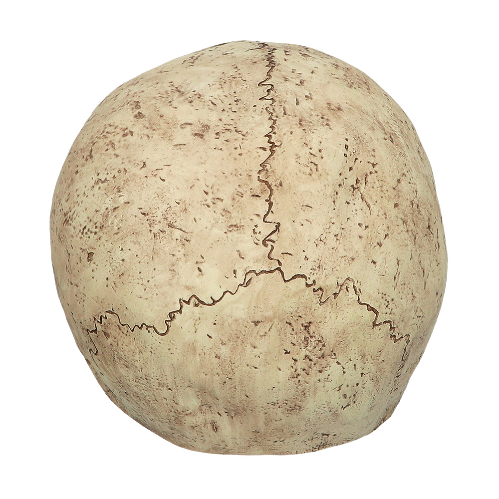 Latex hoofdmasker Skull