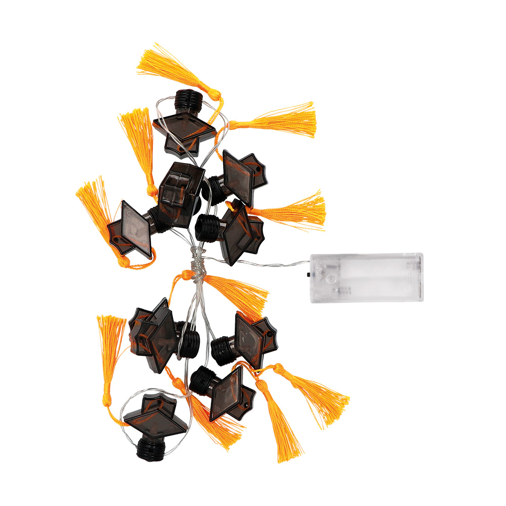 LED lichtsnoer Geslaagd (140 cm)