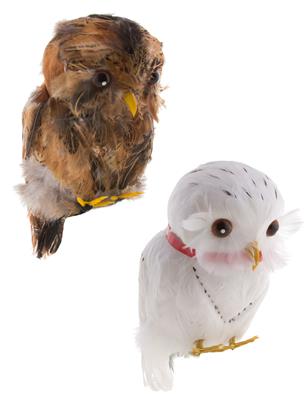 Uil 2 kleuren