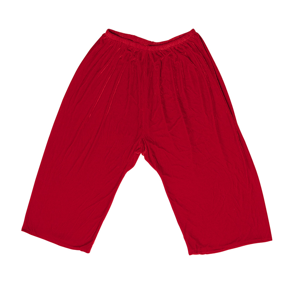 Volwassenenkostuum Kerstman professional (L/XL)