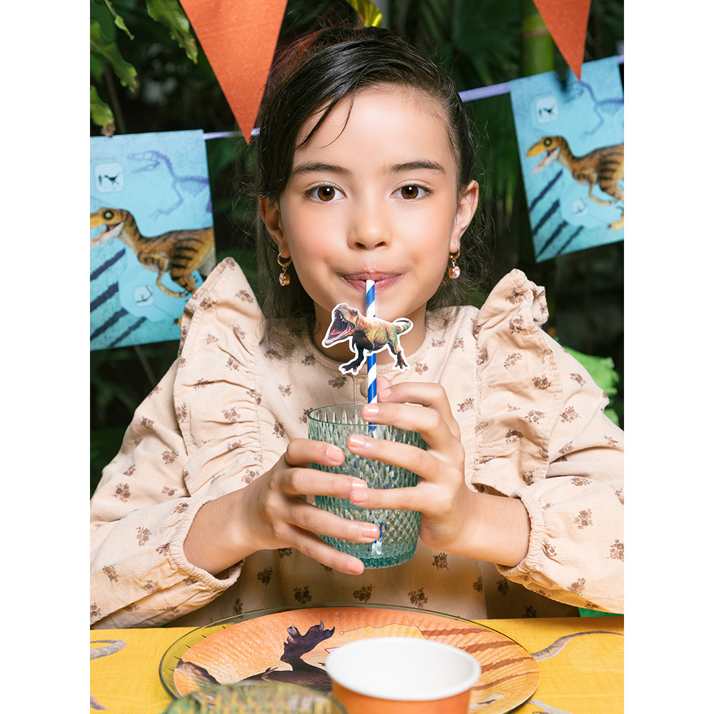 Kartonnen letterslinger T-Rex 'Joyeux Anniversaire' (250 cm)