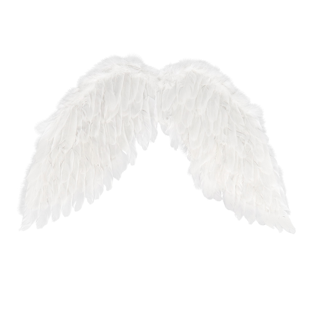 Set Engel wit (diadeem halo en vleugels)