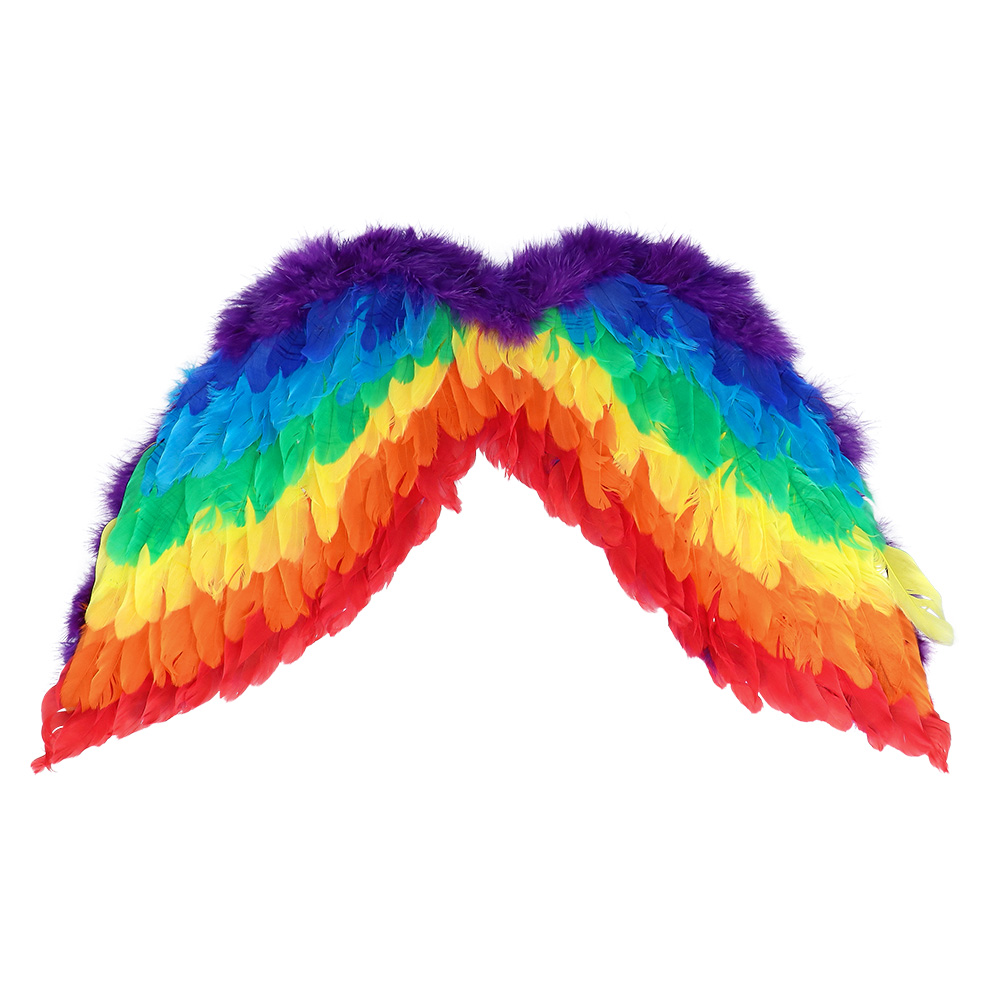 Set Engel regenboog (diadeem halo en vleugels)