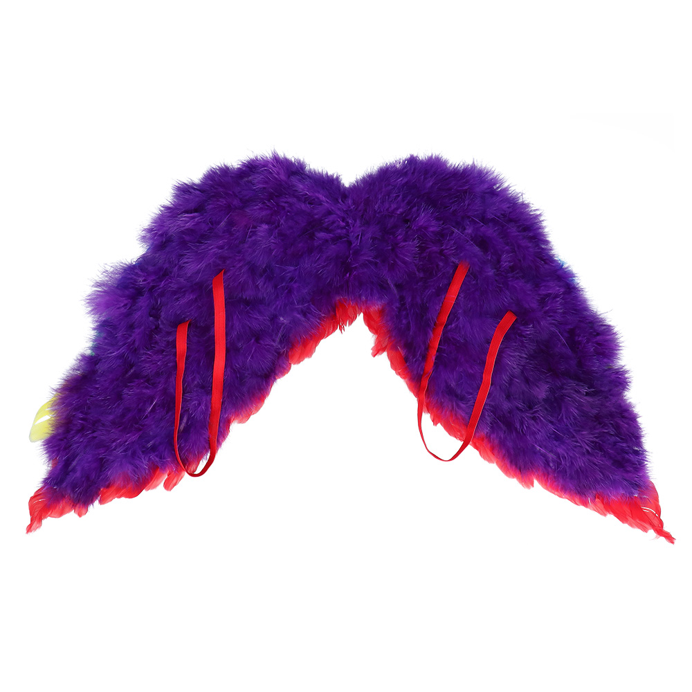 Set Engel regenboog (diadeem halo en vleugels)