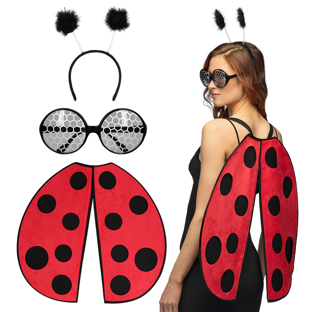 Set Ladybug (diadeem, vleugels (30 x 60 cm), partybril)