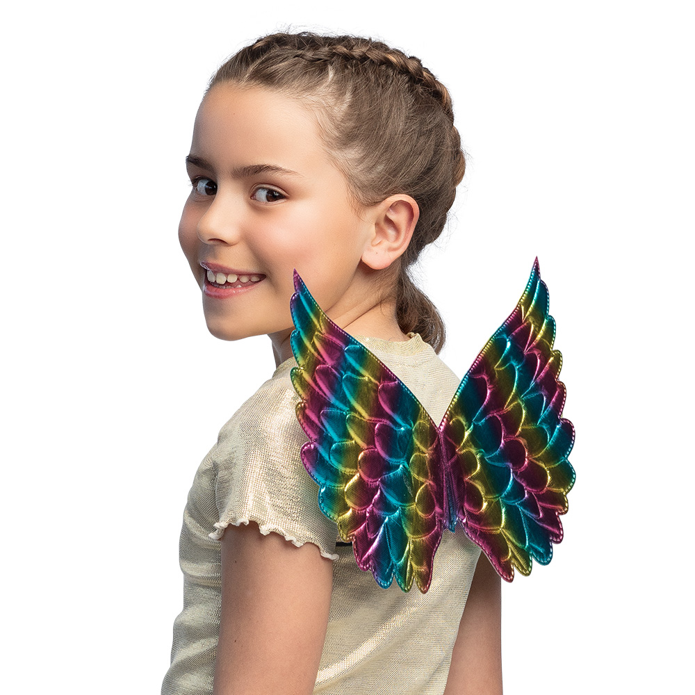 Engelenvleugels Aurora regenboog (23 x 45 cm)