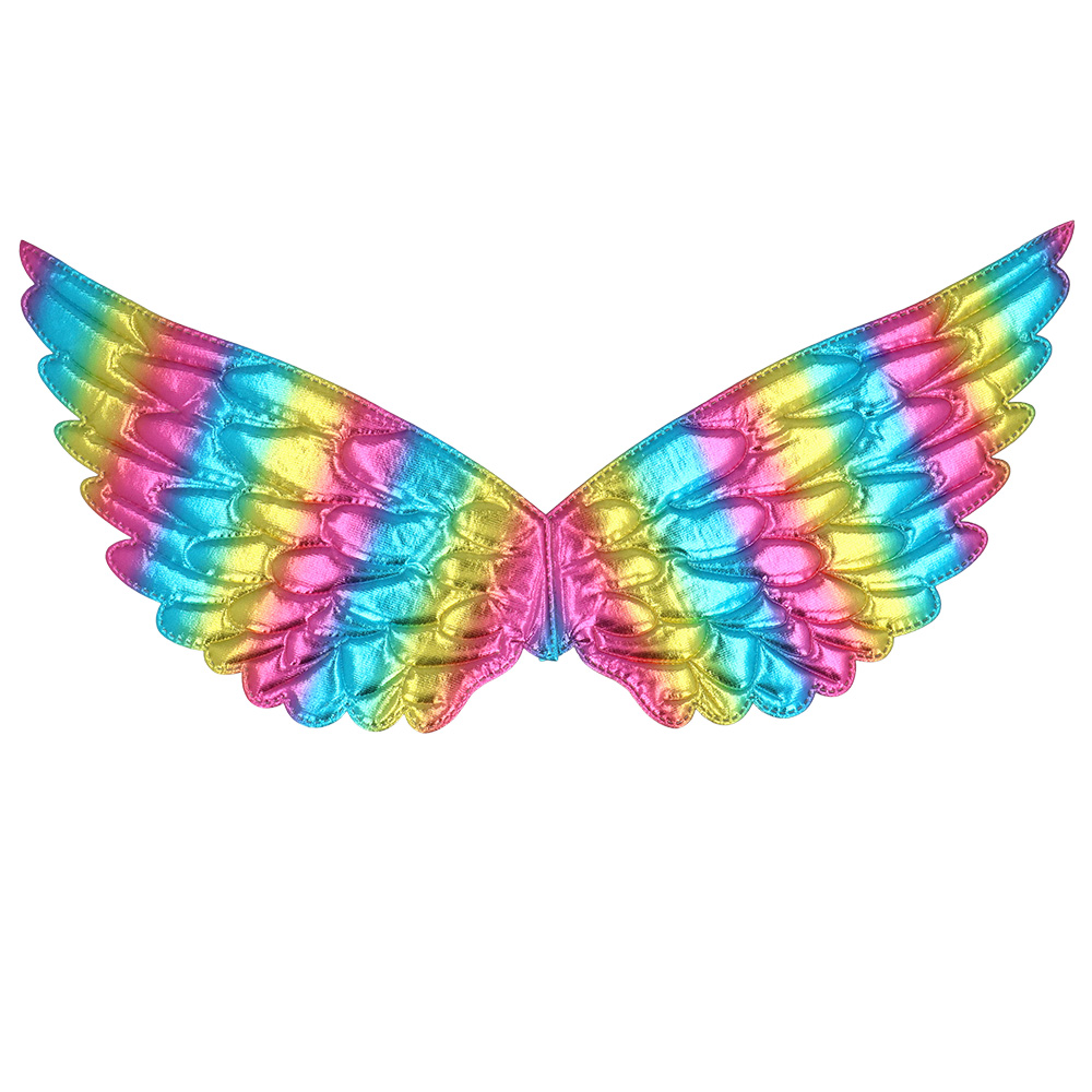 Engelenvleugels Aurora regenboog (23 x 45 cm)