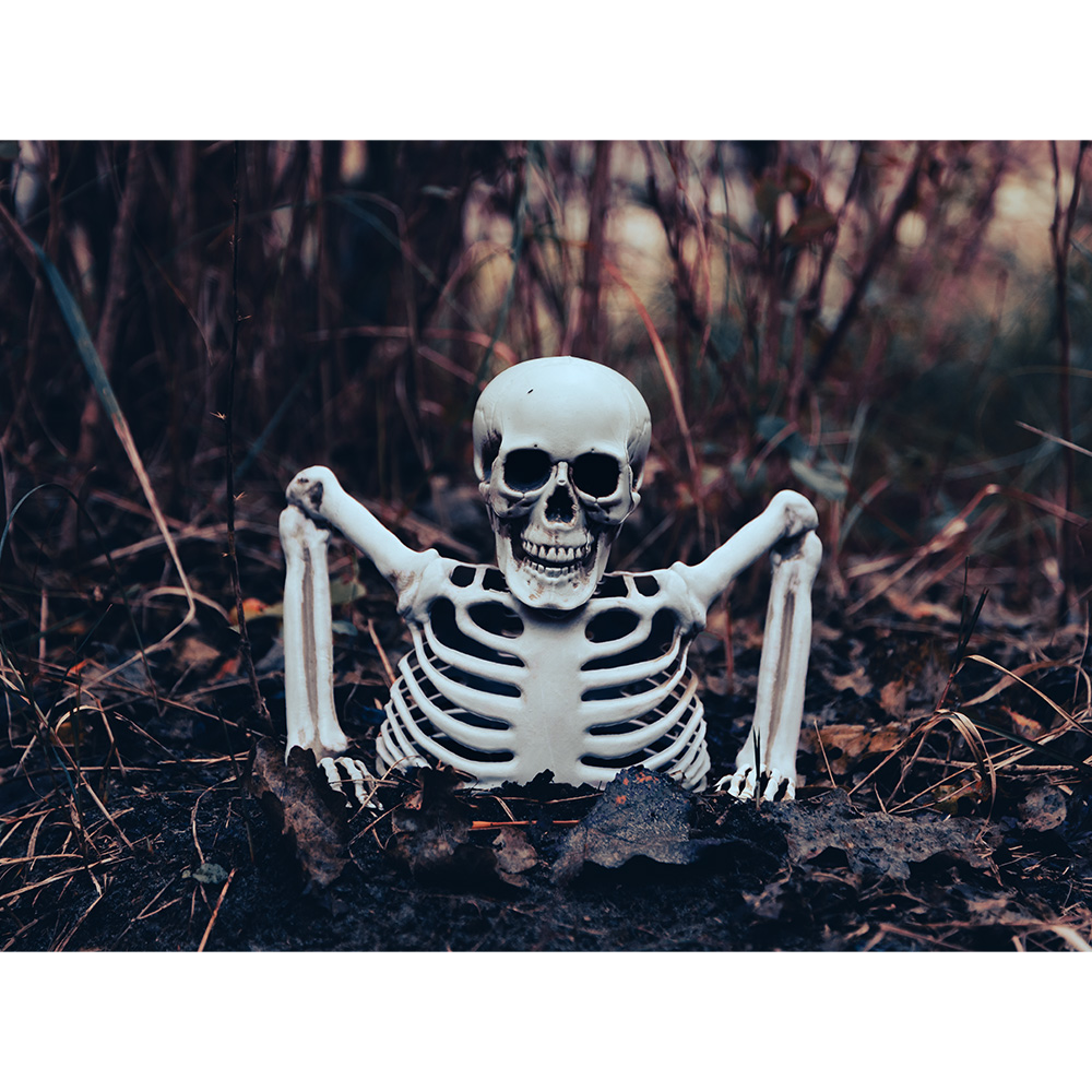 Skelet Groundbreaker (20 cm)