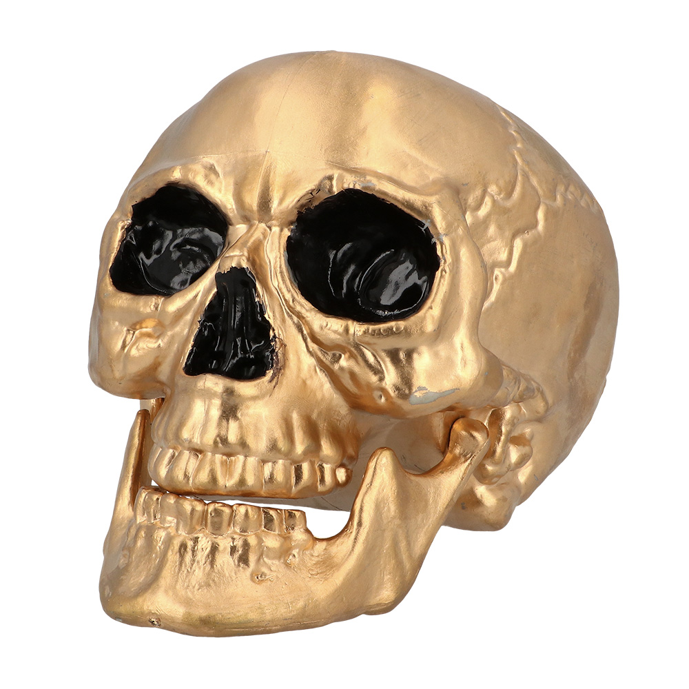 Schedel Maxilla goud met beweegbare kaak (17 x 17 x 24 cm)