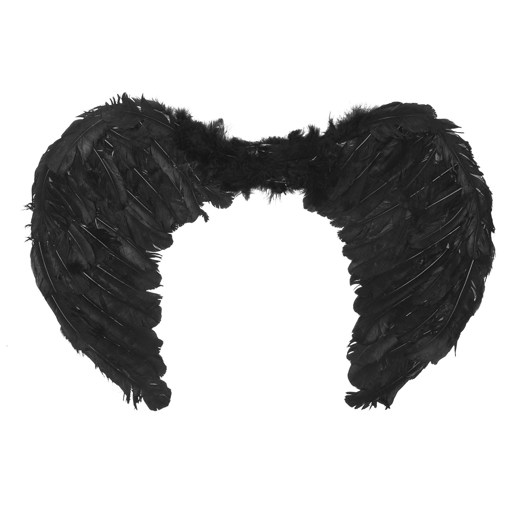 Engelenvleugels Elysia zwart (60 x 40 cm)