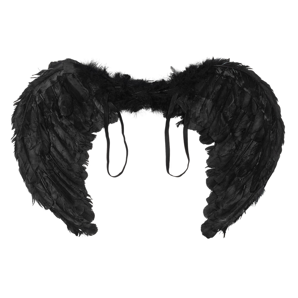 Engelenvleugels Elysia zwart (60 x 40 cm)