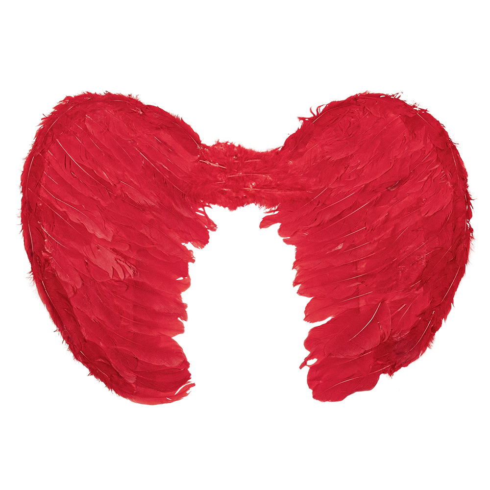 Engelenvleugels Elysia rood (60 x 40 cm)