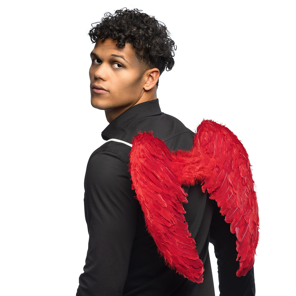 Engelenvleugels Elysia rood (60 x 40 cm)