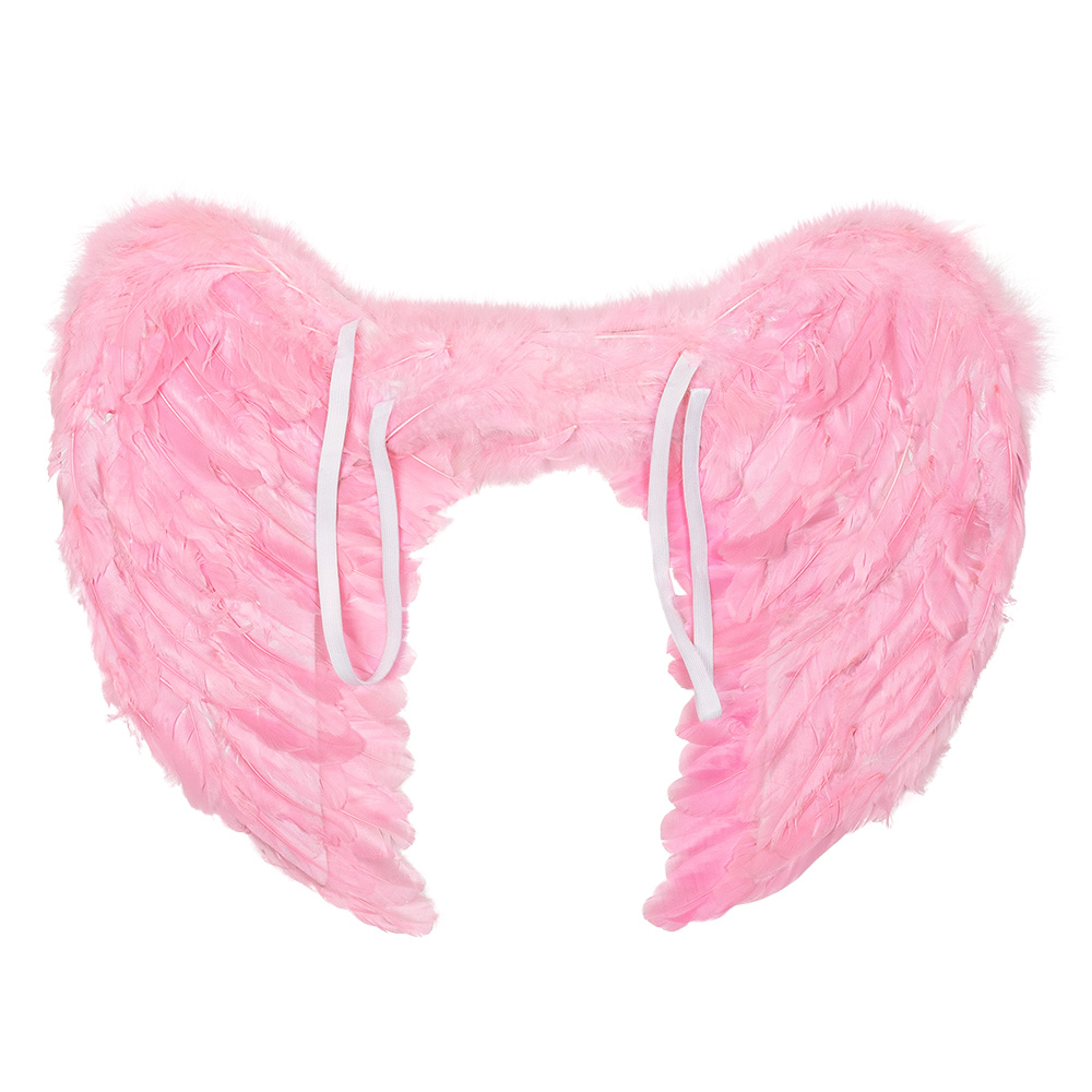 Engelenvleugels Elysia lichtroze (60 x 40 cm)