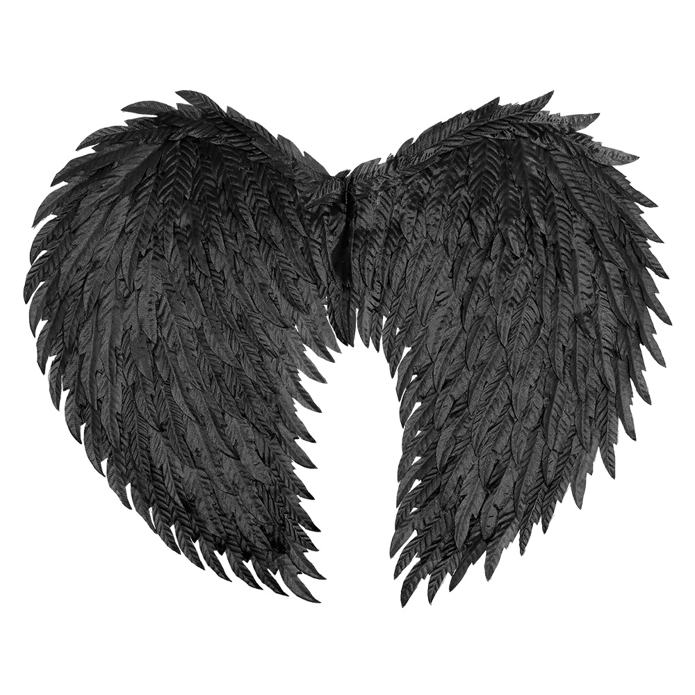 Engelenvleugels Aniela zwart (55 x 40 cm)
