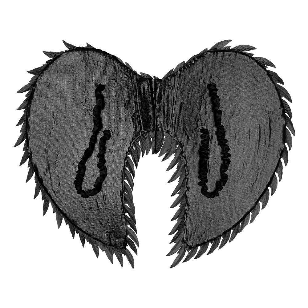 Engelenvleugels Aniela zwart (55 x 40 cm)