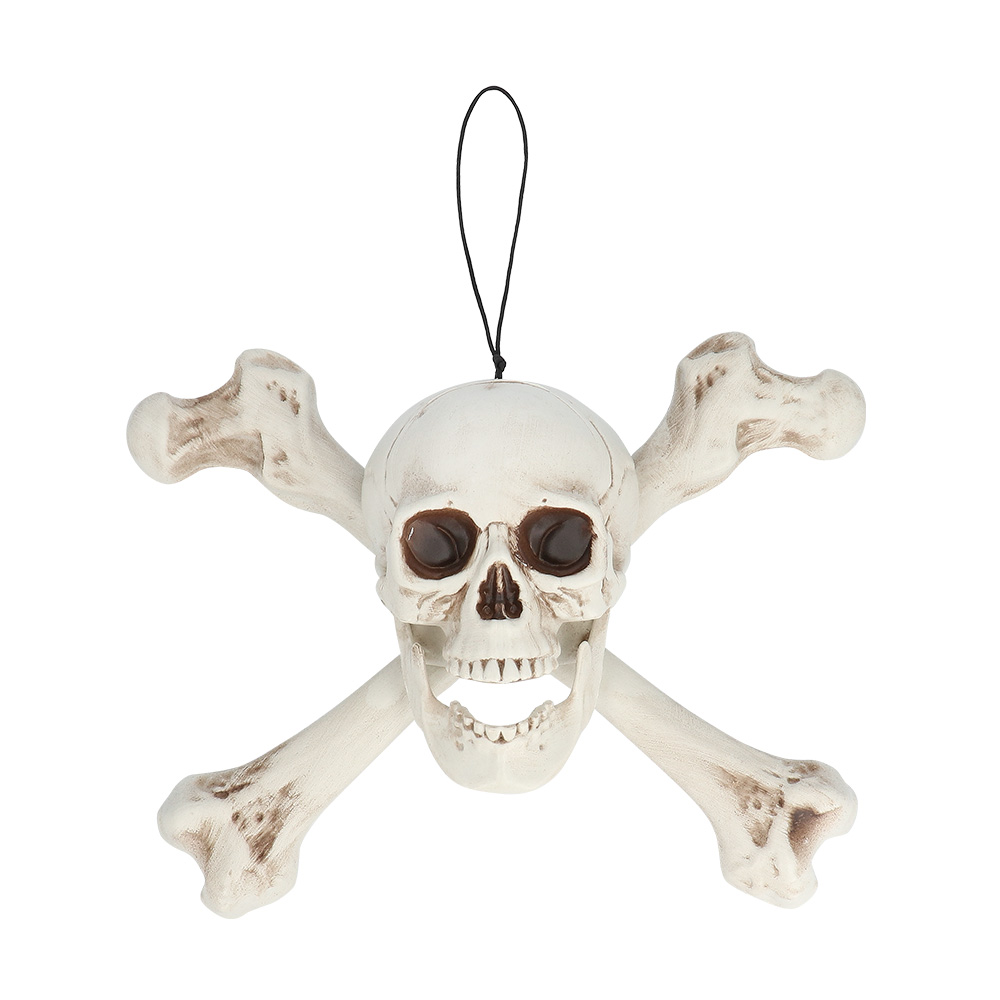 Schedel Roger (37 x 31 x 15 cm)