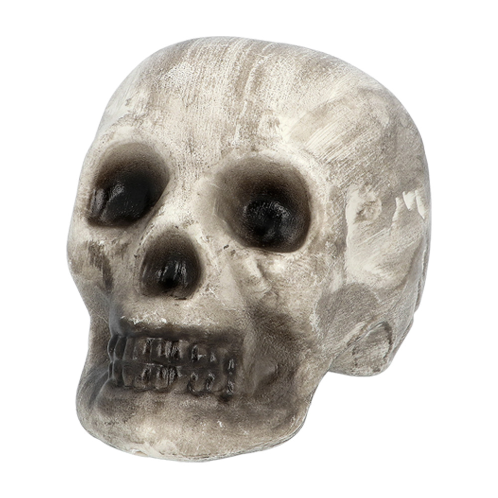 Set 6 doodshoofd en beenderen