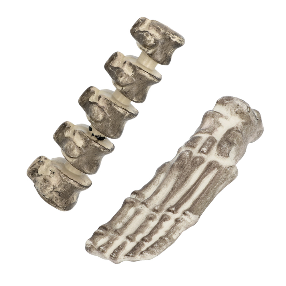 Set 6 doodshoofd en beenderen