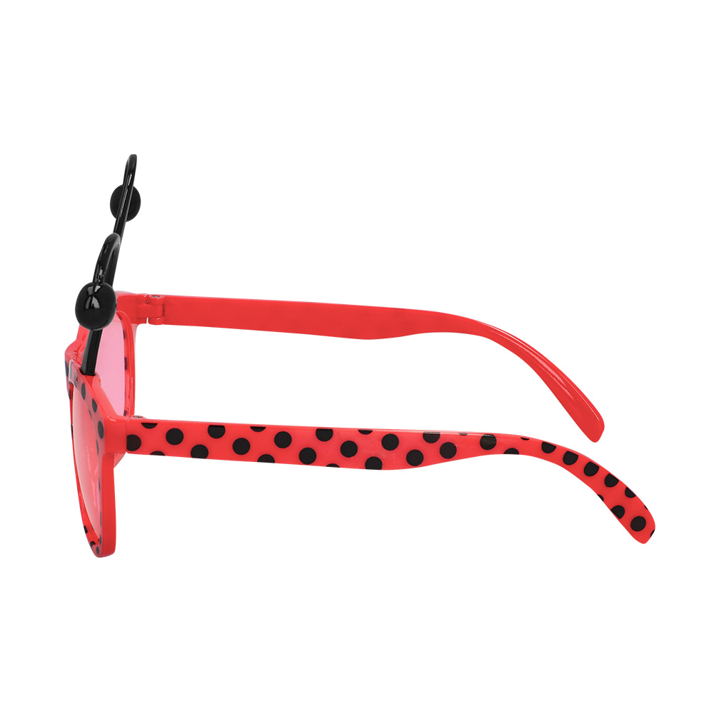 Set Lieveheersbeestje (bretels, bril en vlinderstrik)