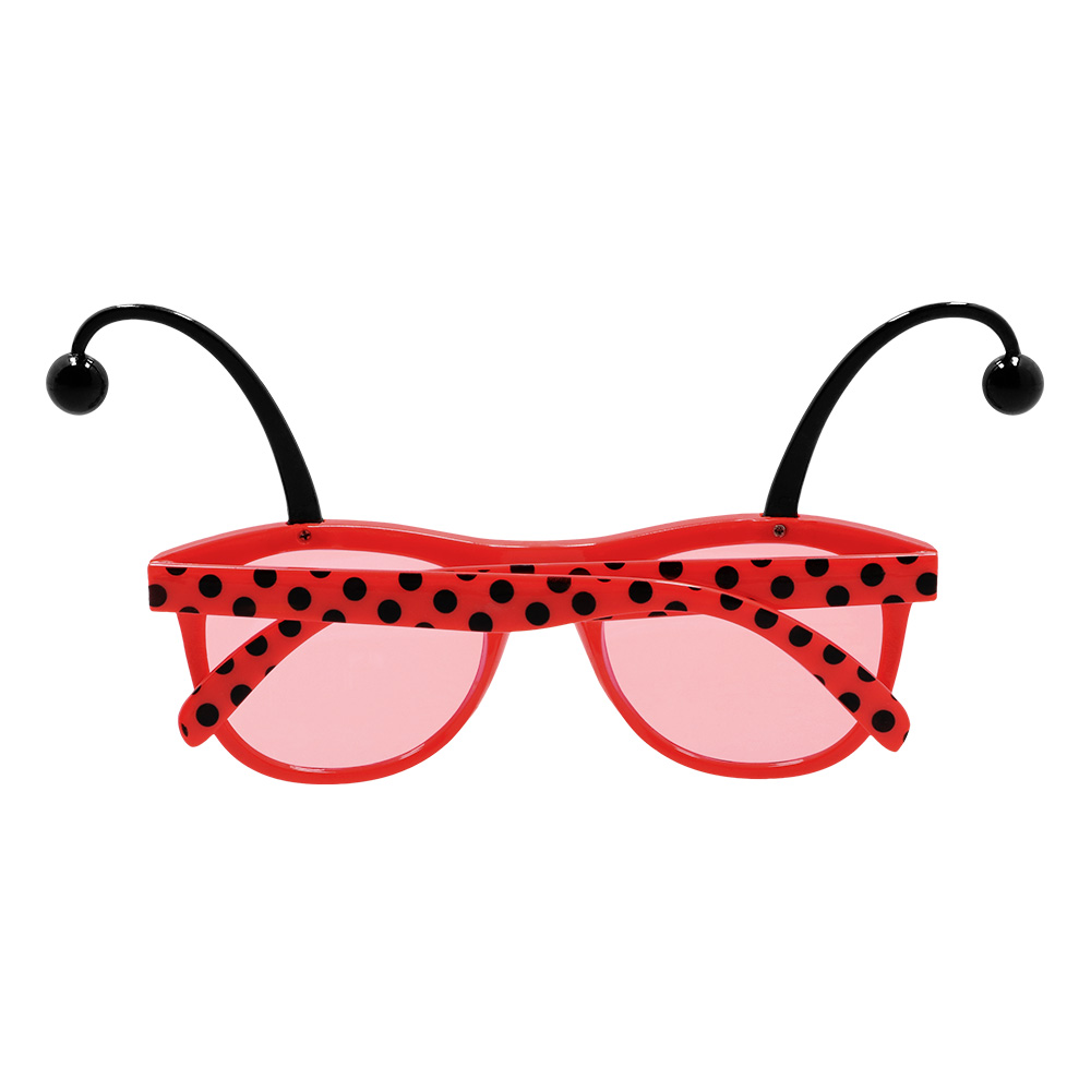 Set Lieveheersbeestje (bretels, bril en vlinderstrik)