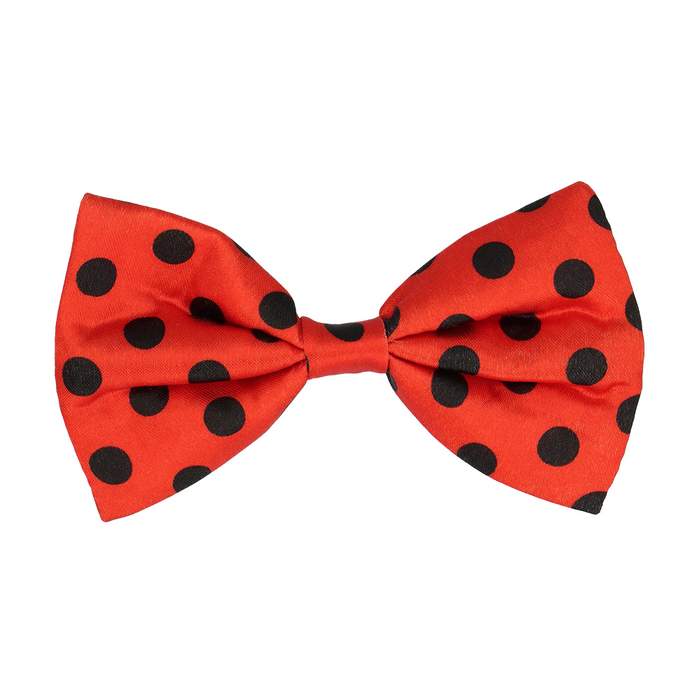 Set Lieveheersbeestje (bretels, bril en vlinderstrik)