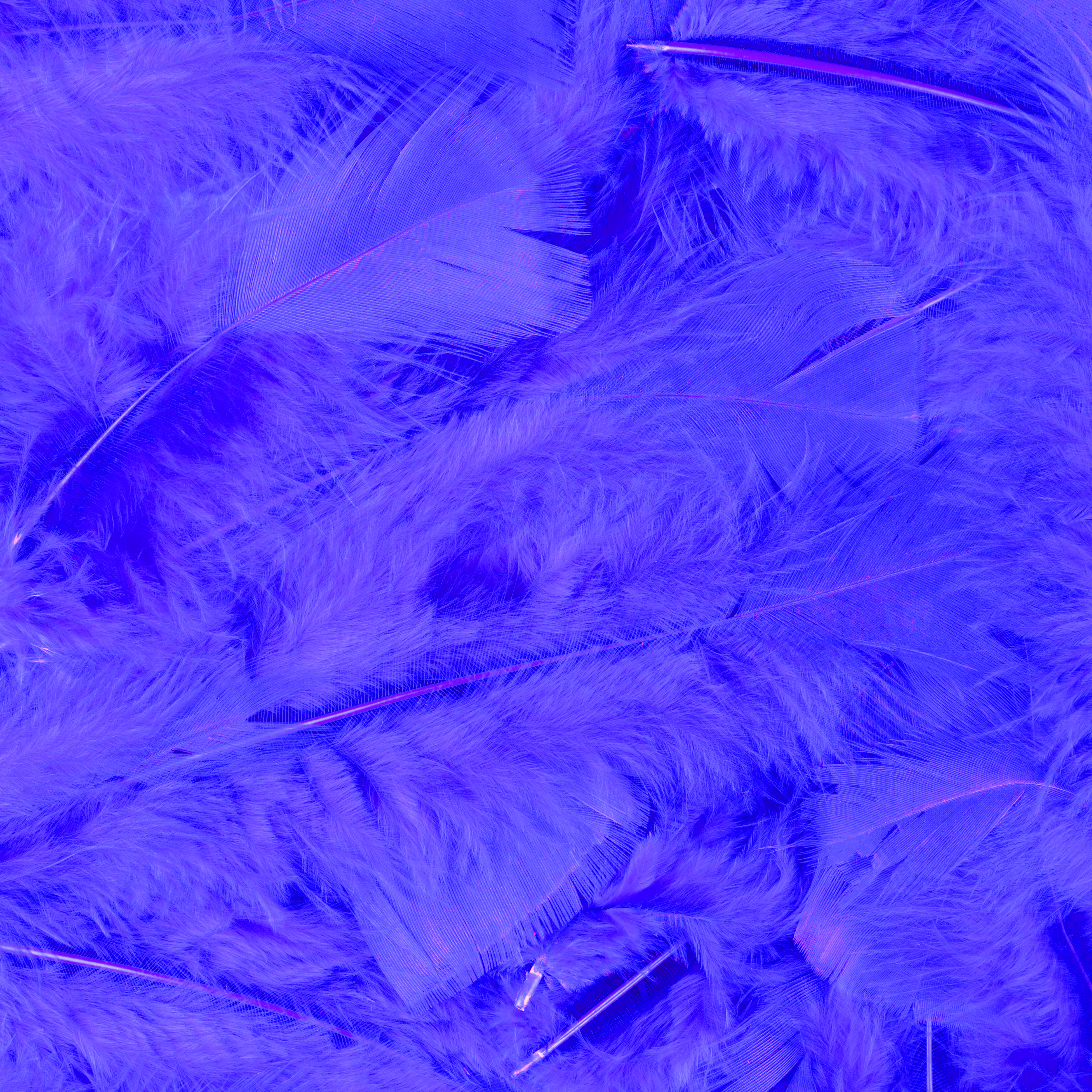 Veren met 100 st. verpackt