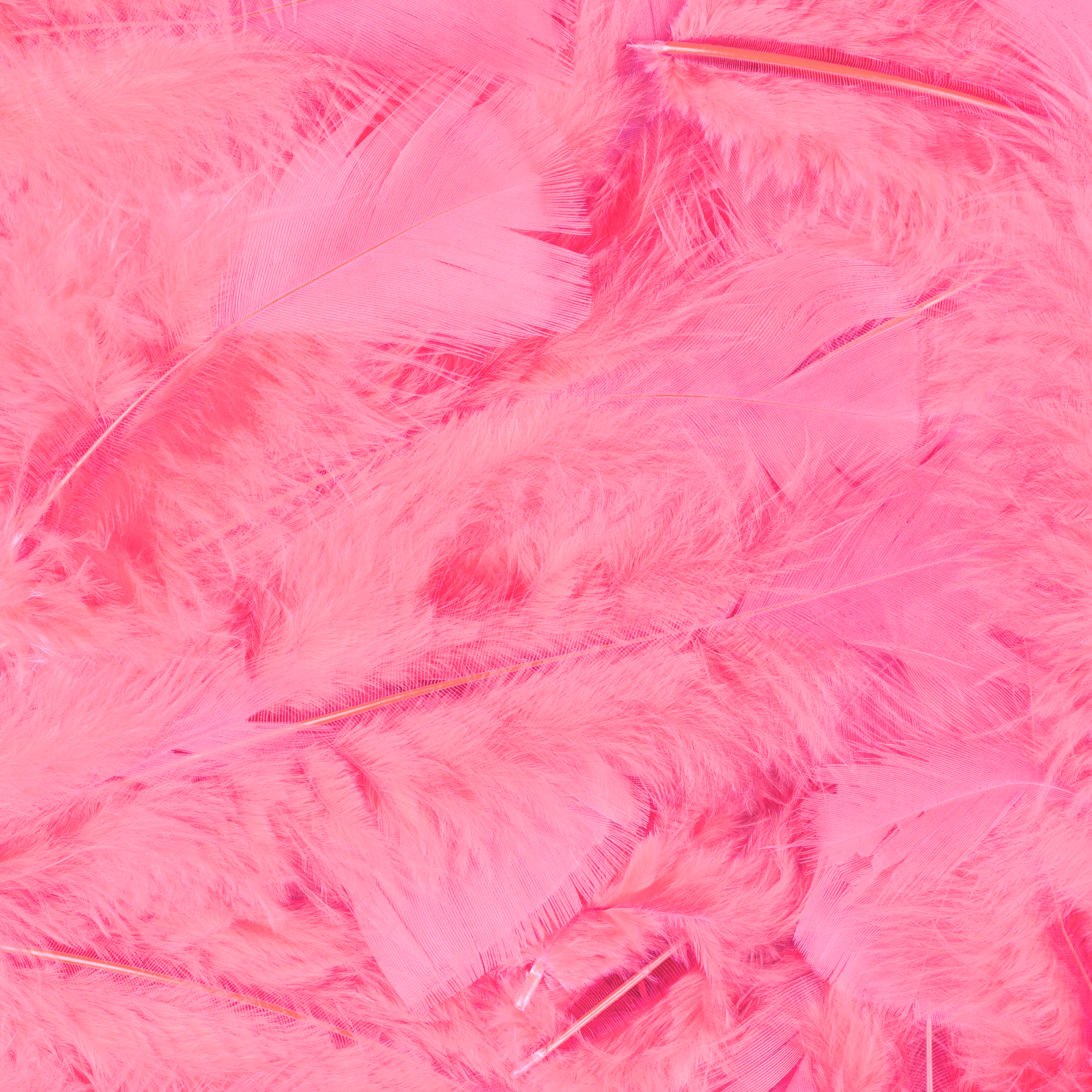 Veren met 100 st. verpackt