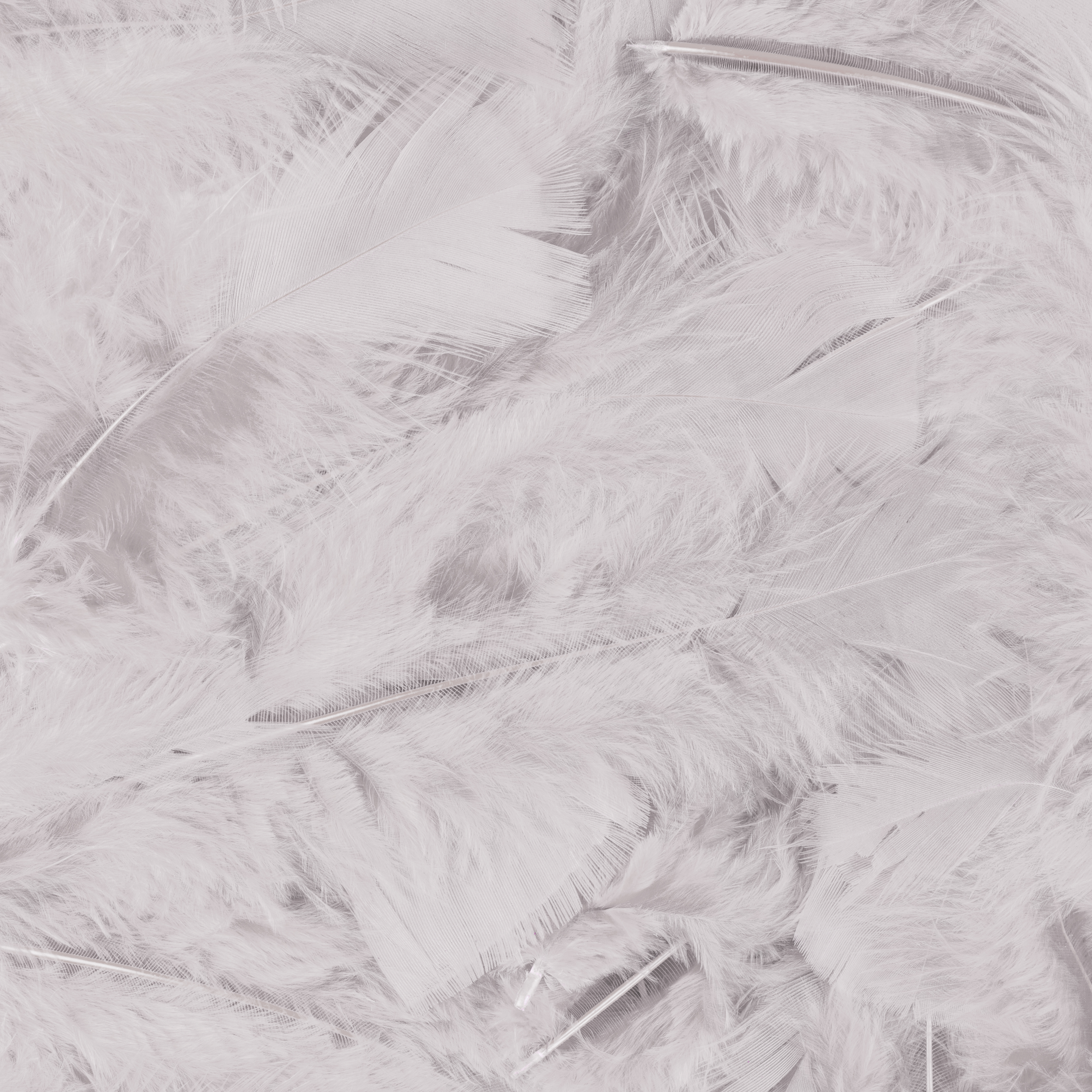 Veren met 100 st. verpackt