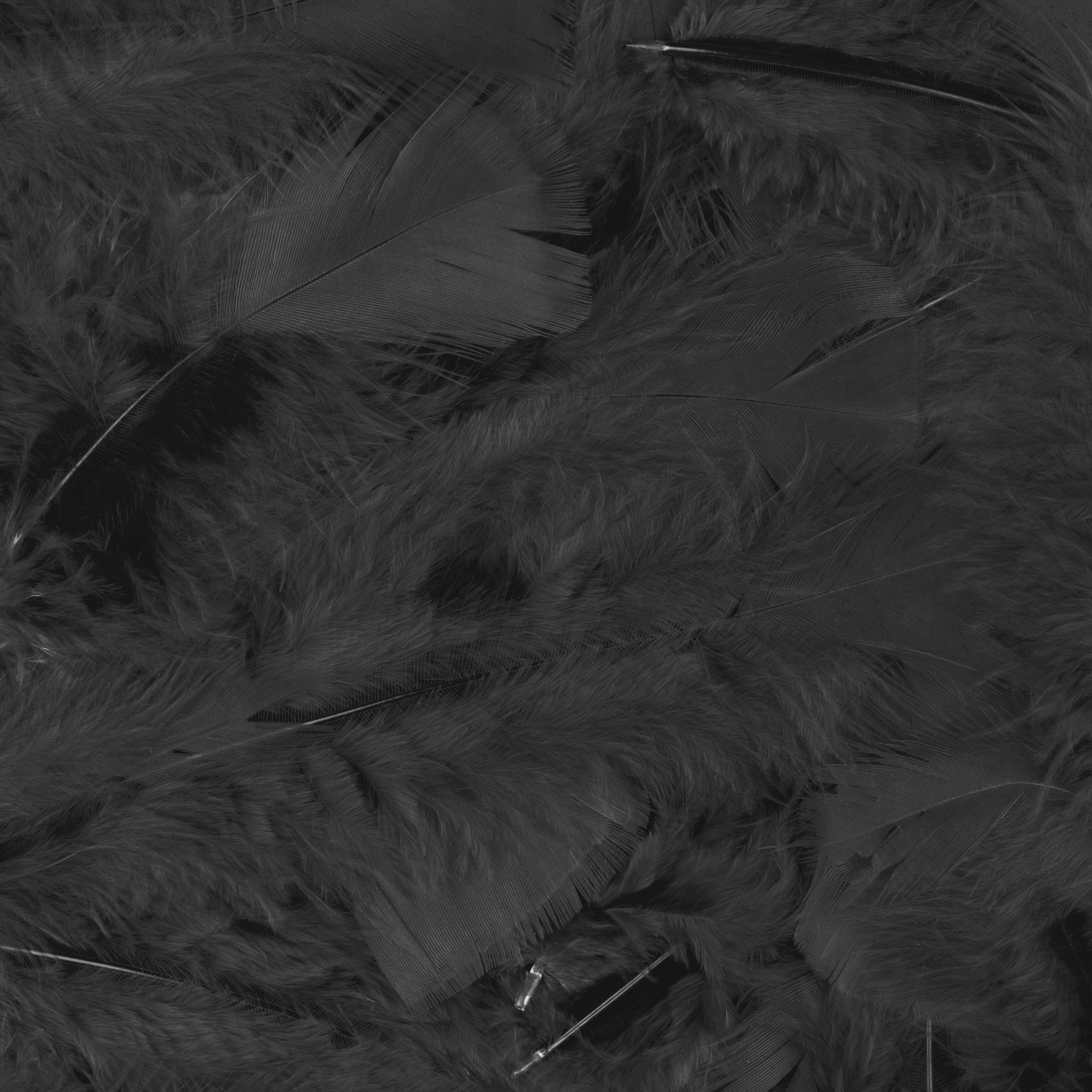 Veren met 100 st. verpackt