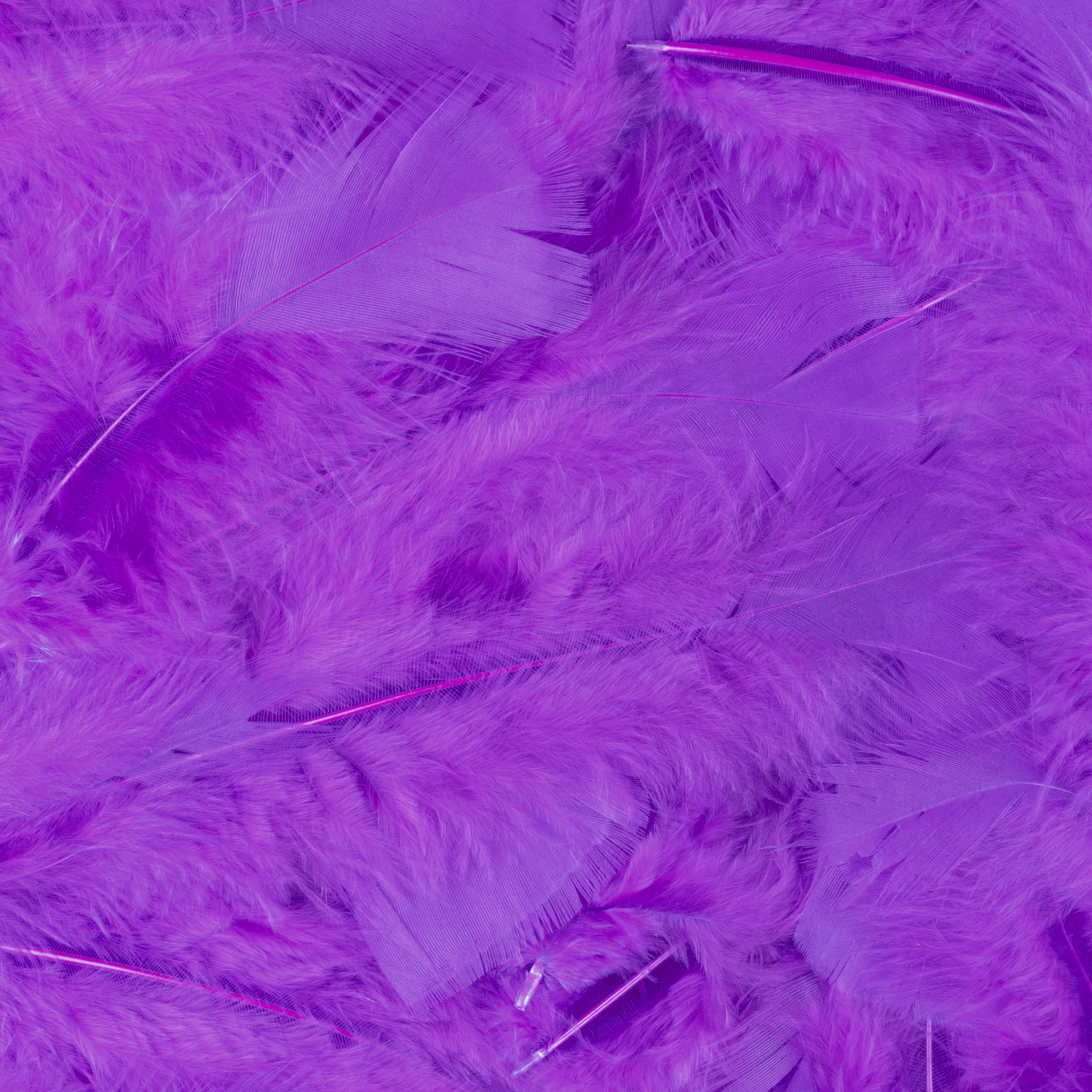 Veren met 100 st. verpackt