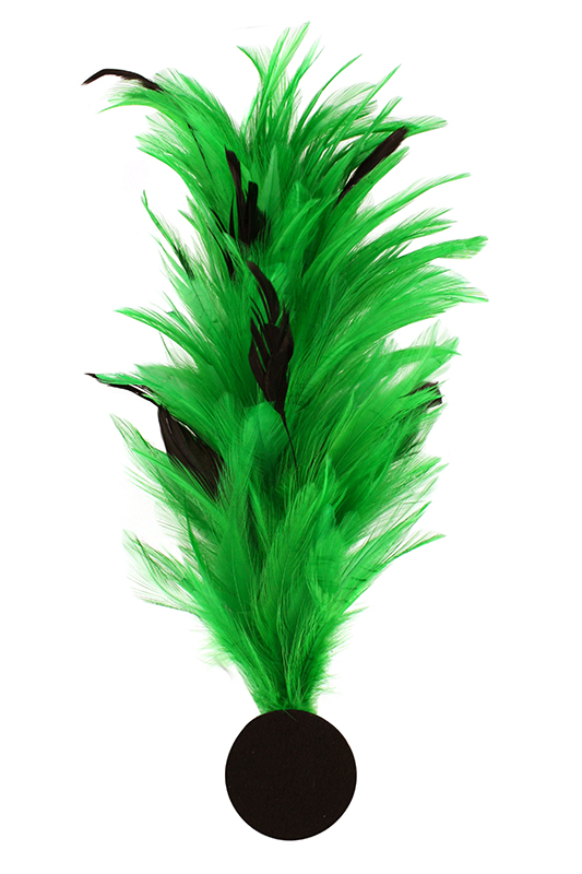 Verenpluim met speld