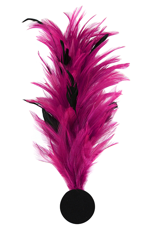 Verenpluim met speld