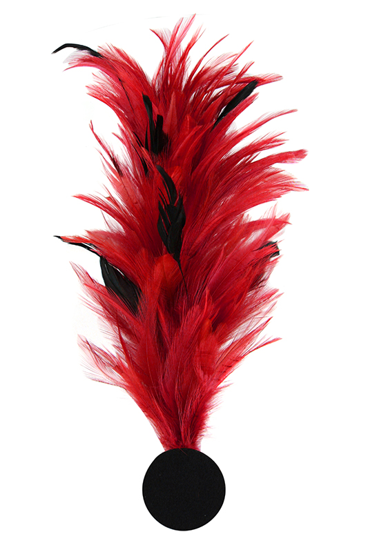 Verenpluim met speld