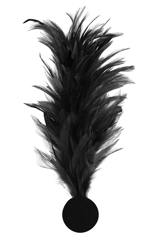 Verenpluim met speld