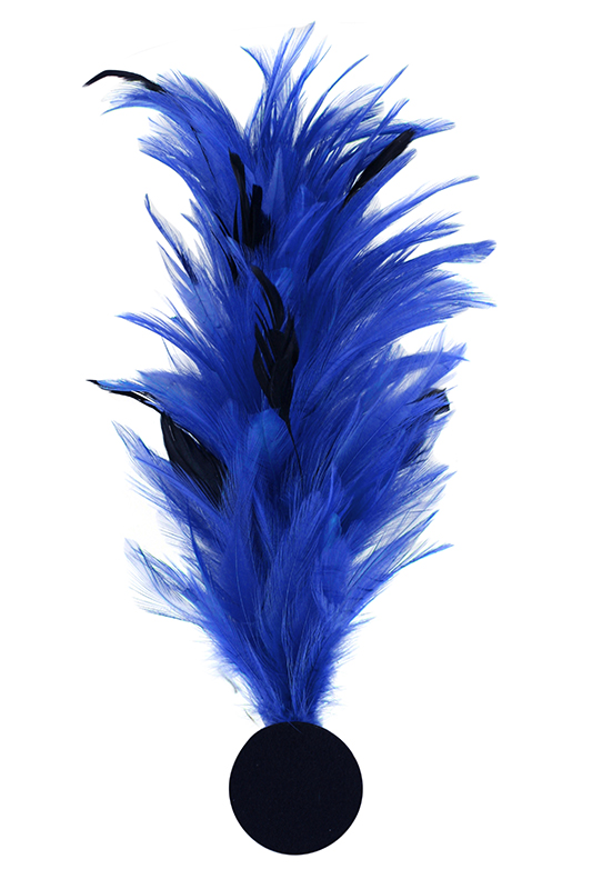 Verenpluim met speld